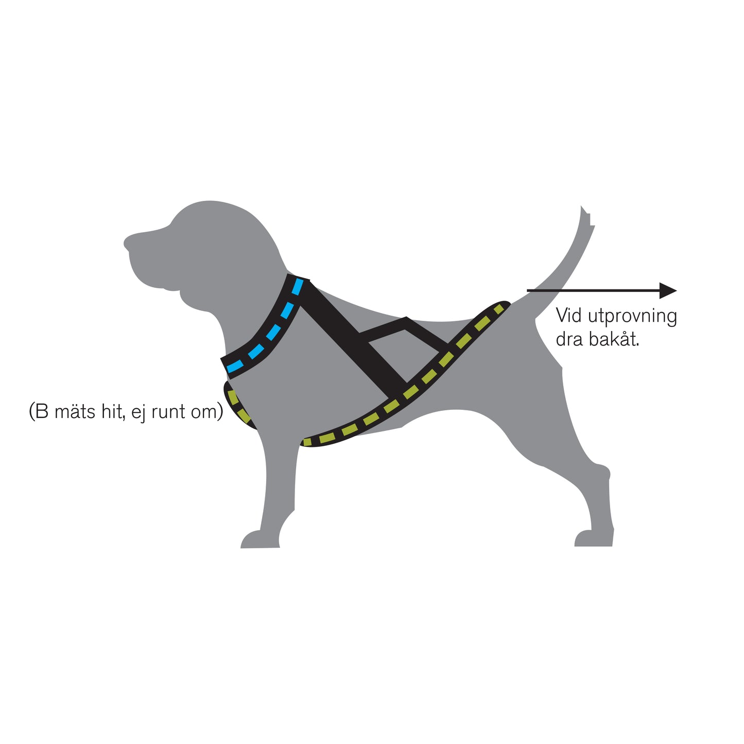Nome Active Hundsele Svart XXL