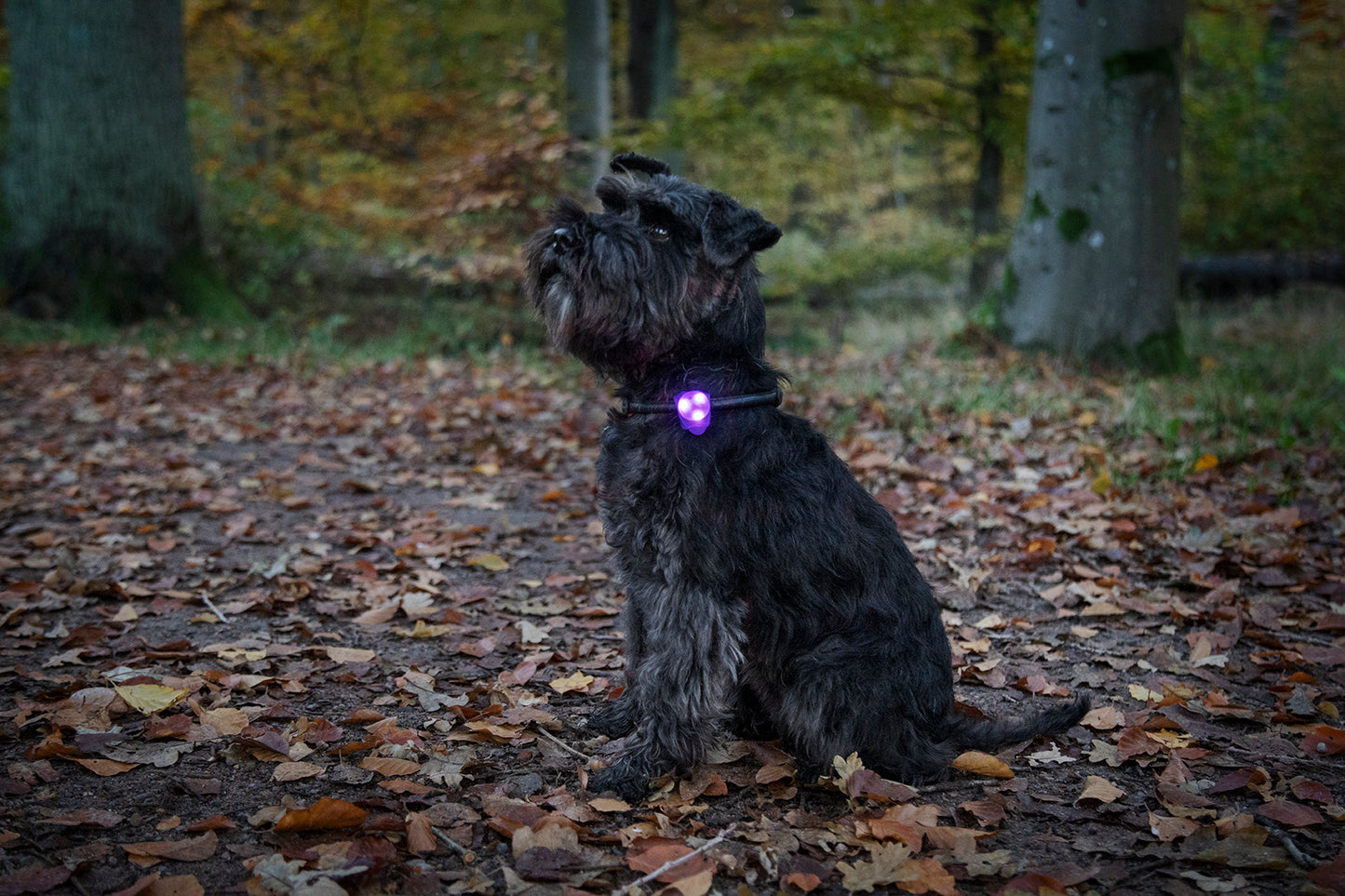 Blinklampa Basic LED Orange