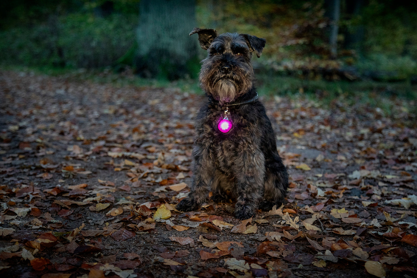 Blinklampa Burger LED Rosa