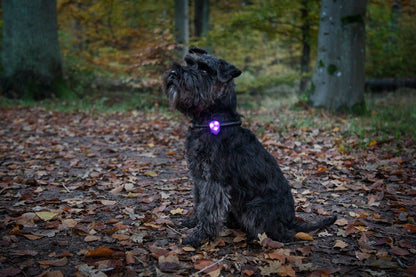 Blinklampa Basic LED Orange