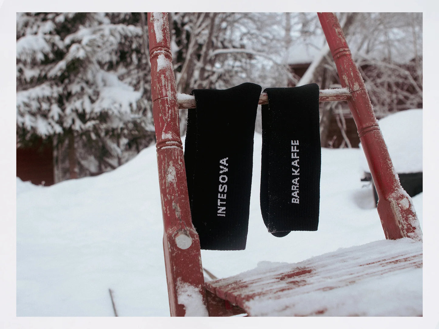 Sock "Dorfmeister" (INTESOVA) merino wool