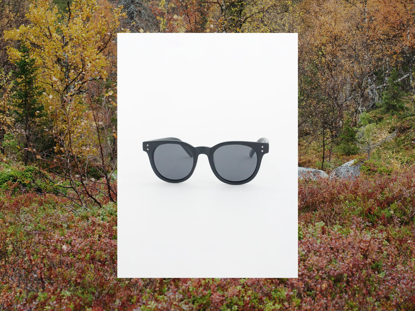 Sunglasses "Leipibir"