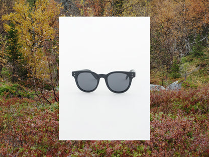 Sunglasses "Leipibir"